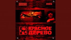 Дрова
