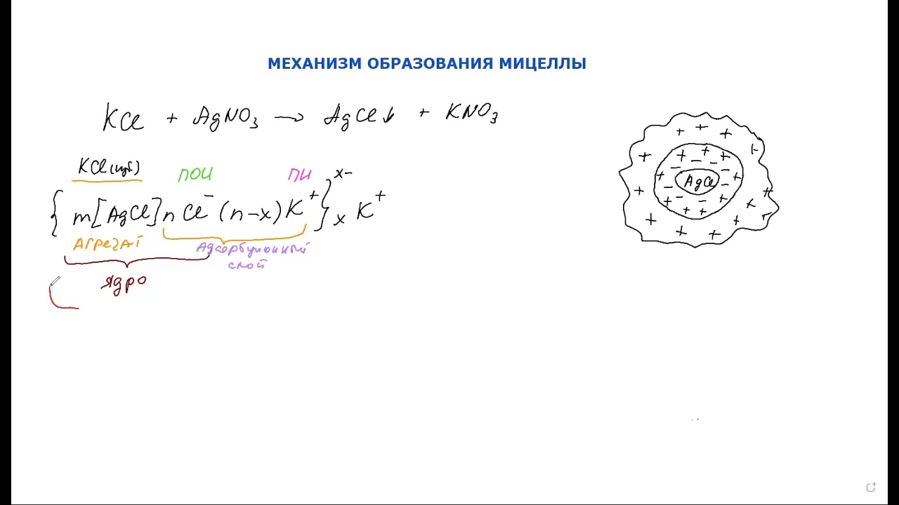 СТРОЕНИЕ МИЦЕЛЛЫ - урок 1 смотреть онлайн