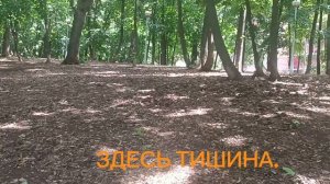 **ГДЕ ЖЕ. ТЫ БЫЛА**ИСПОЛНЕНИЕ ИИ. НО ОТЛИЧНО👍👏😆 ПОГУЛЯТЬ ПРИГЛАШАЮ..