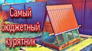 Самый бюджетный курятник