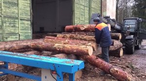 Отзыв с производства в Гомельской области - Лесопильная линия WALTER для паллетной заготовки