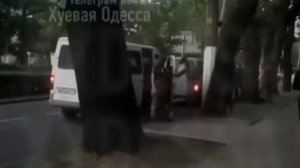 ‼️🇺🇦🏴☠️ В Одессе мобилизовали собаку, сломали ей лапы и выбросили на обочине