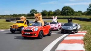 Кот выигрывает захватывающую автомобильную гонку!🐱🏎️🏆