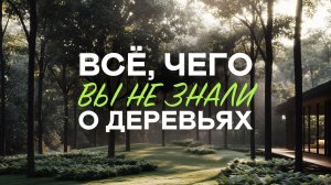 СПОРИМ, вы и не знали этого о ДЕРЕВЬЯХ!