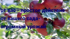 Один из законов плодородия