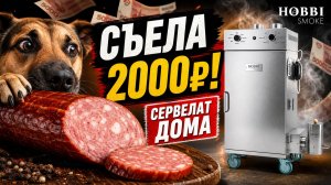 Прибыль съела собака! Домашний СЕРВЕЛАТ за несколько часов: сколько можно заработать?