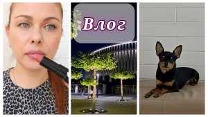 150/26.Вредная собака🐶 //Новинка в косметичке//Стойкий макияж👍🏼/Прекрасное место❤️/Mariya VD LIFE