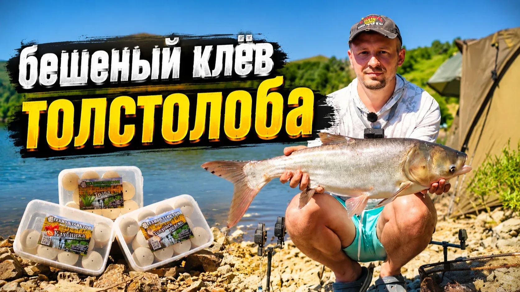 Рыбалка с ночёвкой на толстолобика! Эти поклевки не давали мне спать Активный клёв #fishing #рыбалка смотреть онлайн