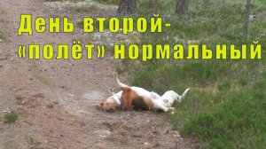 ВТОРОЙ ДЕНЬ ПУТИ В МУРМАНСК /15 июня 2026