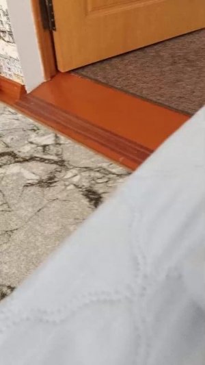 я один дома