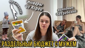 Раздельный бюджет с мужем | Товары из Кореи на 5000₽ | Выходные без ребёнка | Влог мамы (177)