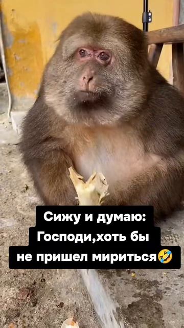 выгодная ссора))) смотреть онлайн
