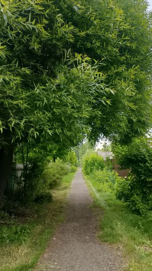 Дачные дела.Семена пришли, нужно делать новые грядки 🫛🫑🥦