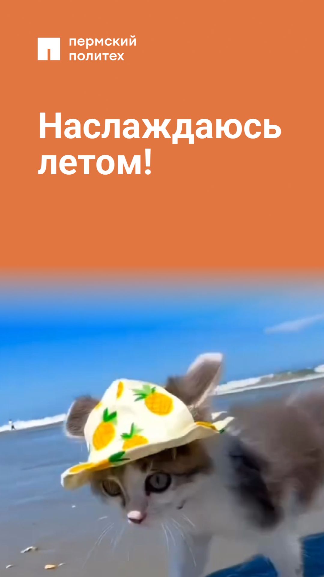 Наслаждаюсь летом!