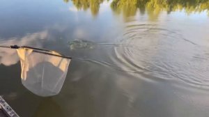 Следом ещё один