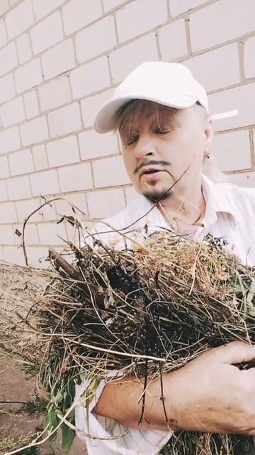 Здравствуйте ,я Ваш новый сосед 25-06-2026