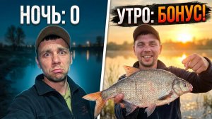 ЧТО ДЕЛАТЬ, ЕСЛИ НЕ КЛЮЕТ? 🎣 Ловля ЛЕЩА на ФИДЕР и донки КРОКОДИЛЫ. Ночь на Каме!