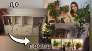Мой зелёный интерьер: как я расставляю растения, чтобы было красиво 💚 Делюсь своими «До» и «После»