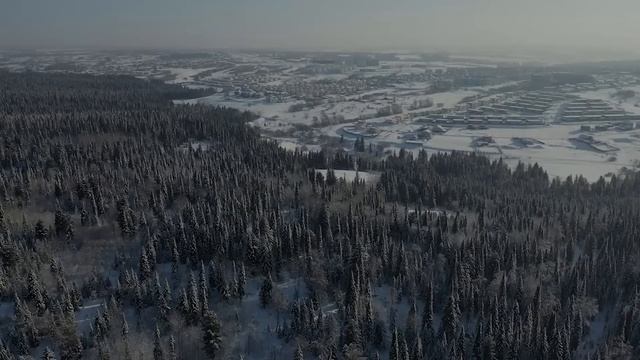Почему НКВД отправили в глушь_ Жуткая находка в заброшенной таежной деревне