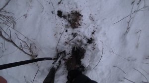УДАЧНО ЗАШЛИ В ЭТОТ ЛЕС! ТУТ РАБОТАЛА ТРАКТОРНАЯ БРИГАДА! ЗИМНИЙ КОП МЕТАЛЛОЛОМА