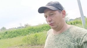 26.06.2026 готовлю заготовку для банного отвара