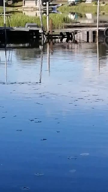 РЫБАЛКА В КАРЕЛИИ 🐟🐟🐟🐟