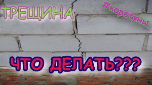 Трещина в стене Что делать?! коротун №17