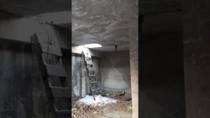 Здание в лесу .