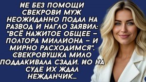 Жизненные Истории|Не без помощи свекрови муж неожиданно|Истории из жизни|Реальные истории