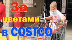 В Costco Сан-Франциско за цветами и конфетами / США влог