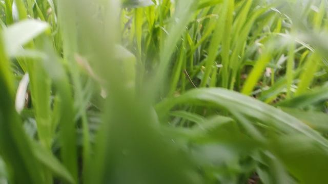 Один из дней города Евпатории | 7 марта 2022 год | Крым ХАН БАТОН XAH 6ATOH | VID_20220307_164048