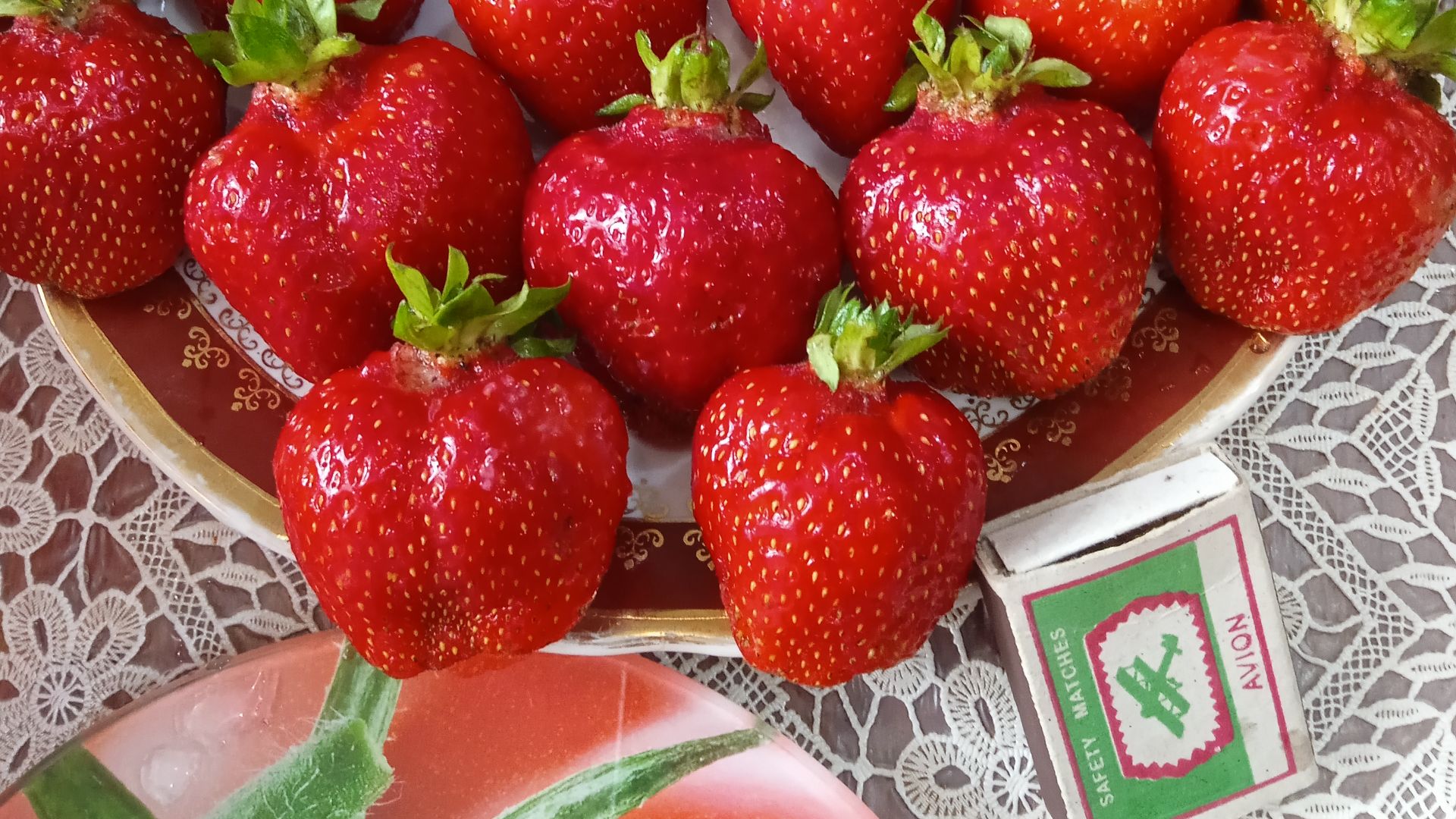 Азия и Хоней на загущённой грядке