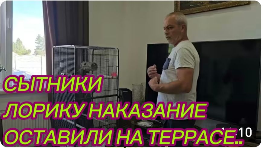САМВЕЛ АДАМЯН, СЫТНИКИ, ЛОРИКУ НАКАЗАНИЕ, ОСТАВИЛИ НА ТЕРРАСЕ.. смотреть онлайн