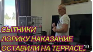 САМВЕЛ АДАМЯН, СЫТНИКИ, ЛОРИКУ НАКАЗАНИЕ, ОСТАВИЛИ НА ТЕРРАСЕ..