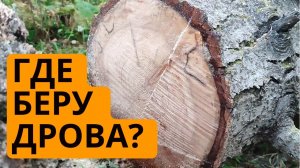 Где я беру доски и дрова