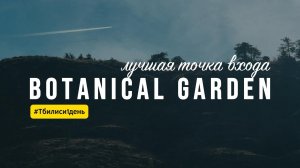 Как не устать в Ботаническом саду Тбилиси? Правильный маршрут и цены 2026