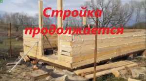 Капаем, сажаем, строим сарай.
