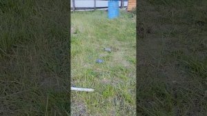 надеялись будет сильный ветер