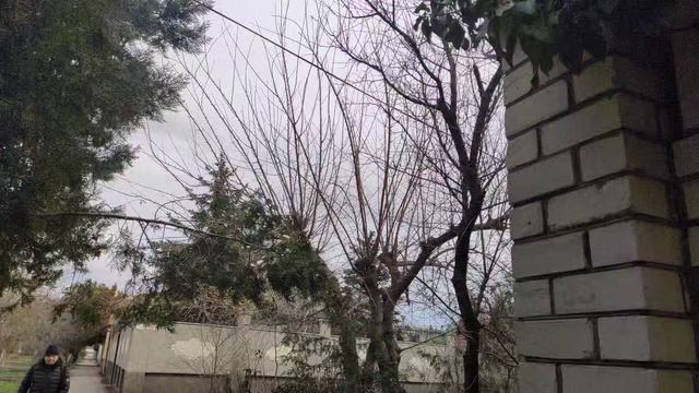 Один из дней города Евпатории | 9 марта 2022 год | Крым ХАН БАТОН XAH 6ATOH | VID_20220309_144507