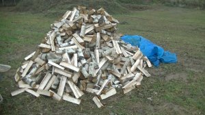 Дрова берёзовые , заготовка на зиму в дровник.