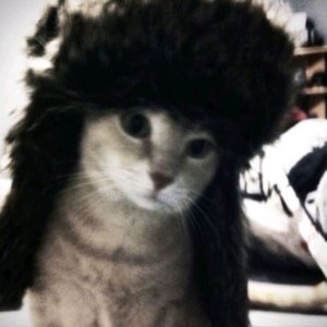 тра-ла-ла пукнул