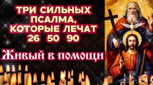 Чудо исцеления 3 псалма Оздоравливают и очищают тело и душу Живый в помощи вышнего Православный щит