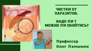 Чистки от паразитов. Надо ли? Проф. Ламыкин О.Д.