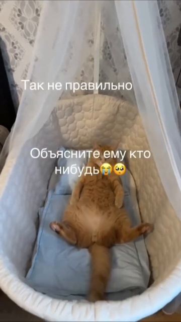 Вот как объяснить? смотреть онлайн