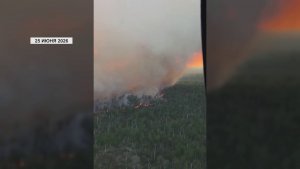 Программа «Главные новости» на 8 канале от 27.06.2026 Часть 1