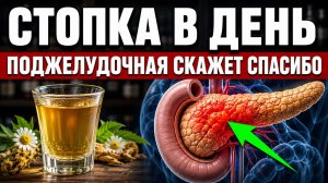 Мало Кто Знает, что после Этих Напитков Поджелудочная Оживает...