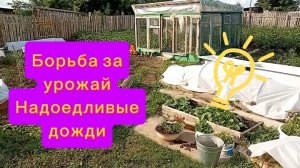 🟢Закупила витаминчики для огорода/Ждём большой урожай
