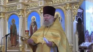 Верный Богу священник говорит истину!