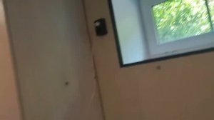 #6_26 Работы в доме. Откосы на цоколе, розетки, чтобы вписать в интерьер