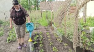 ПРАВИЛЬНО ЛИ Я ДЕЛАЮ ! НЕПРИЯТНЫЙ ЗАПАХ ЗАТО ПОЛЕЗНЫЙ
